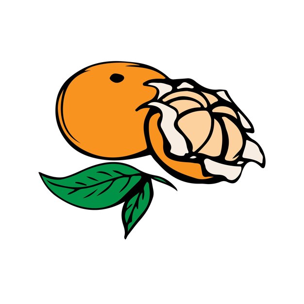 Illustrazione vettoriale di mandarino o mandarino intero sbucciato mandarino intero con foglia di mandarino sbucciato