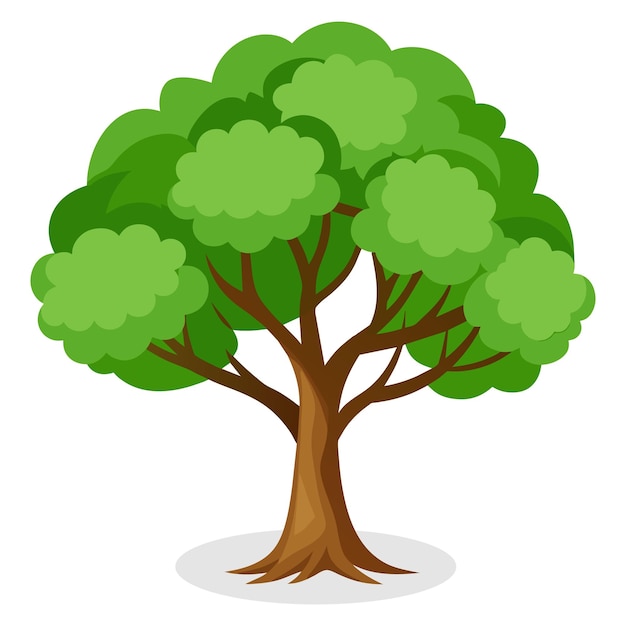 Peepal tree Isolated flat vector illustration