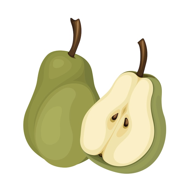 peer fruit voedsel vectorillustratie rijp gezond vers zoet natuur sappig fruit gezondheid biologisch