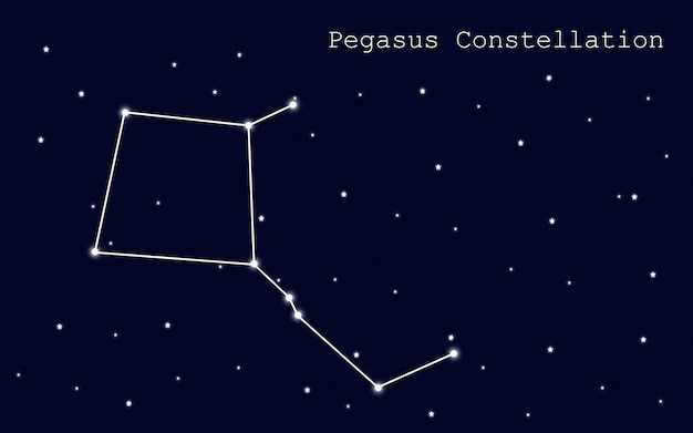 Vettore costellazione di pegaso sullo sfondo del cielo stellato. modello di infografica. illustrazione vettoriale