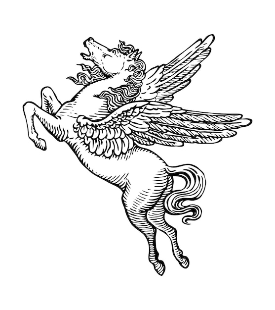 Vector pegasus engraving hand drawn