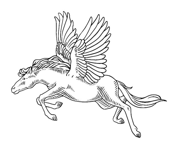 Vettore illustrazione incisa dell'annata pegasus