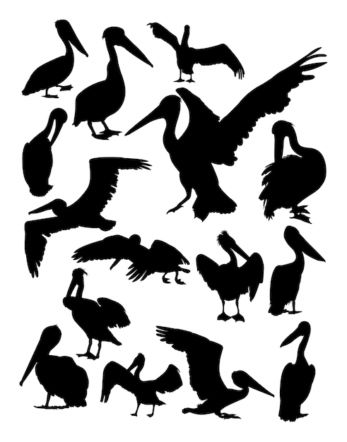 Pelican animal silhouette