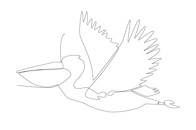 Pelican bird line art