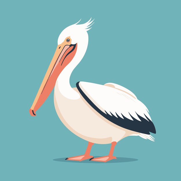 Vector pelican cartoon illustratie vector ontwerp voor kinderen