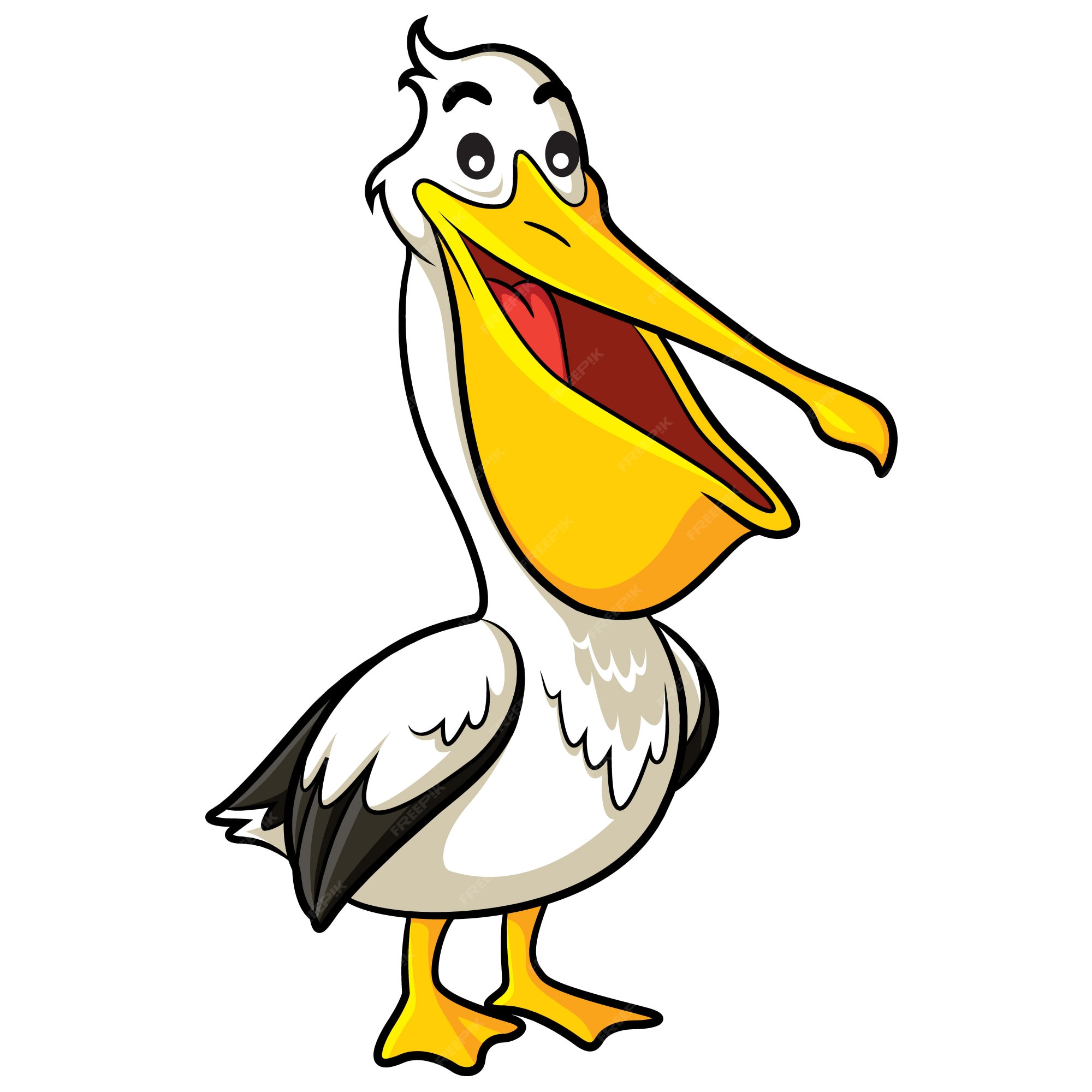 pelican cartoon clipart