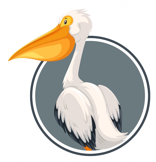 Vector pelican on circle banner