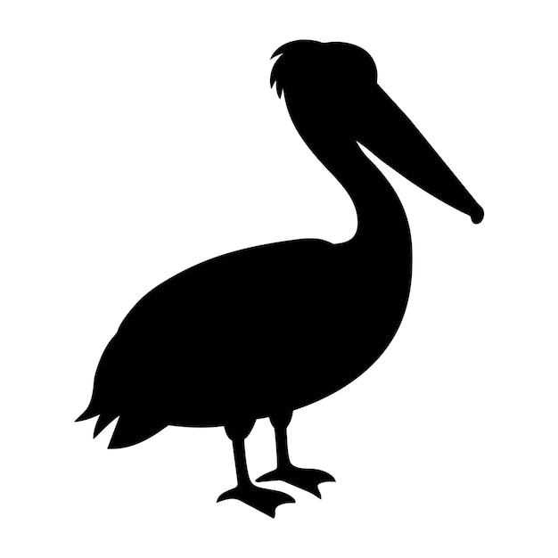 Vector pelican silhouette isolated on white