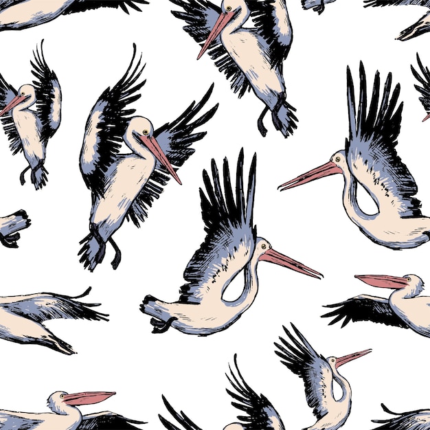 Vector pelicans vector seamless pattern. exotic flying birds tropical ornament. design for textile, print, background, wallpaper.