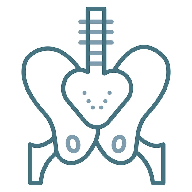 Vector pelvis icon vector image can be used for human anatomy