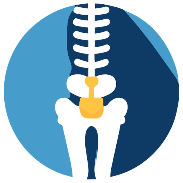 Vettore icona dello scheletro pelvico forme colorate
