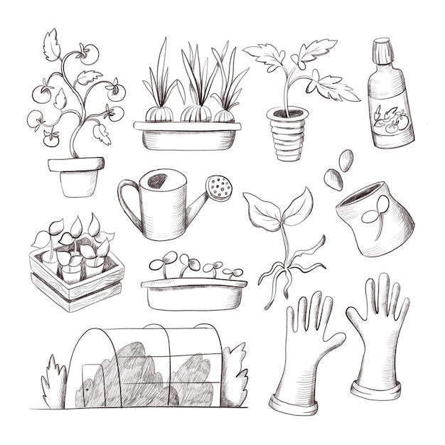 Vector pencil sketch of garden tools young plants and seedlings