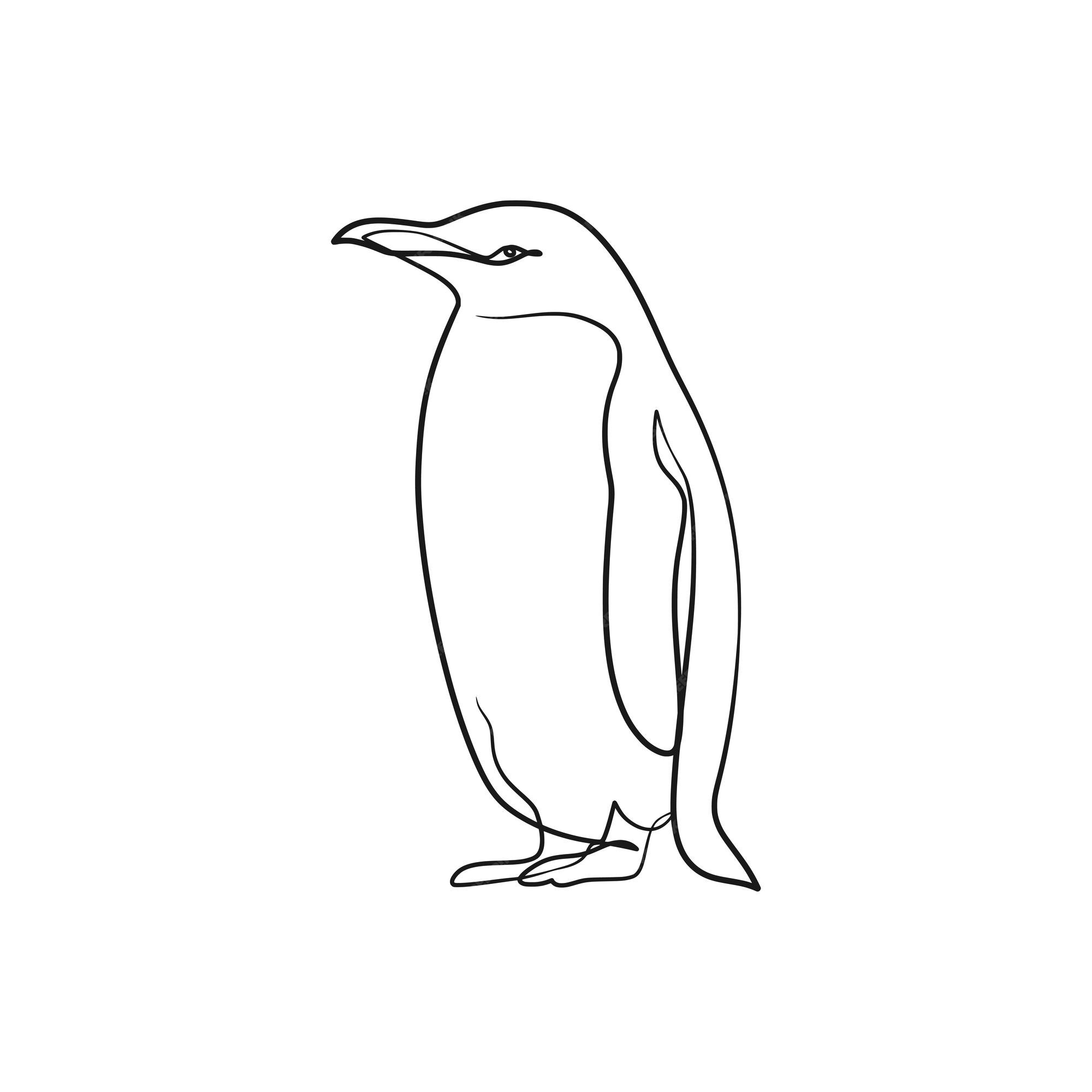 Premium Vector | Penguin continuous one line art drawing