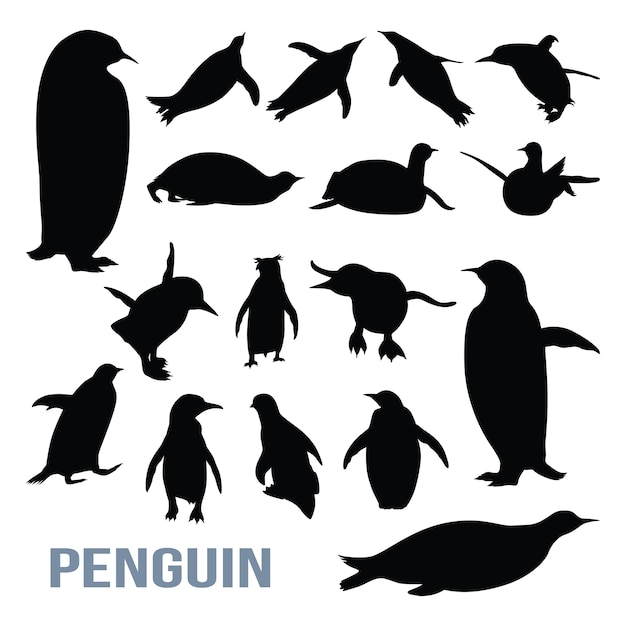 Vector penguin cute isolated silhouette set