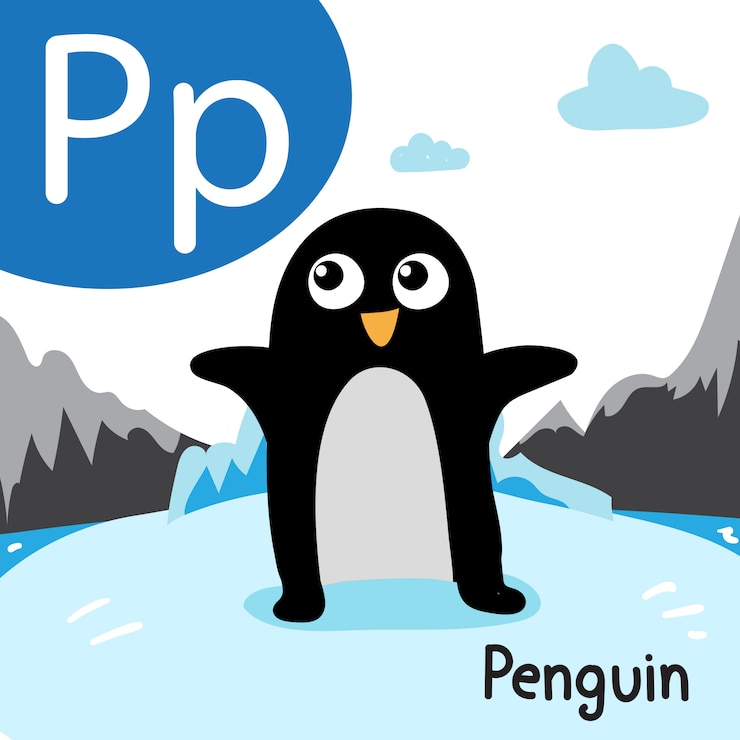 Vector penguin drawing line vector design