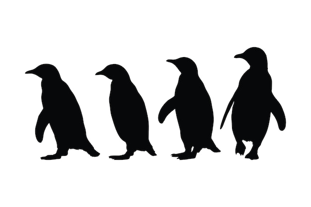 Collezione di silhouette a corpo pieno pinguino design del fascio di silhouette di uccelli incapaci di volare selvatici pinguini erbivori in piedi silhouette su sfondo bianco simpatico pinguino in piedi in diverse posizioni