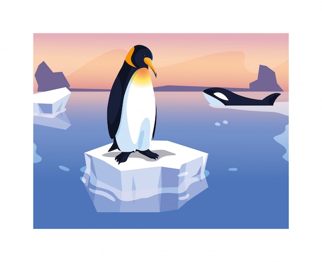 Penguin on an ice floe drifting