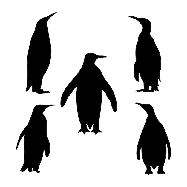 penguin silhouette collection