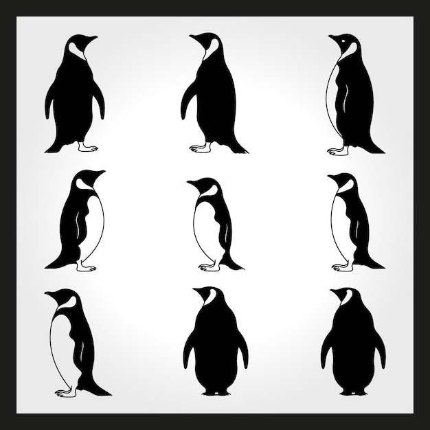 Vector penguin silhouette set clipart on a hex color background