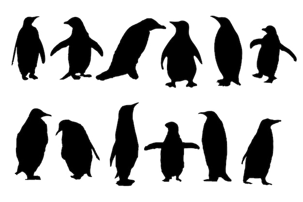 Penguin silhouette vector illustration design