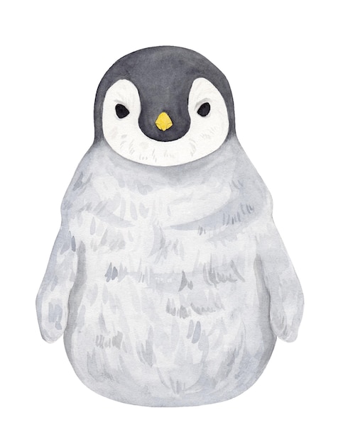 Vector penguin watercolor flightless bird