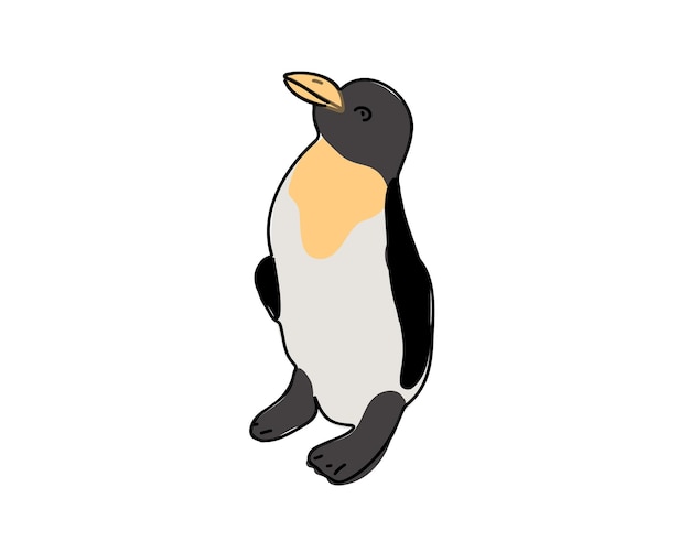 Vector a penguin with a yellow beak is standing on a white background.