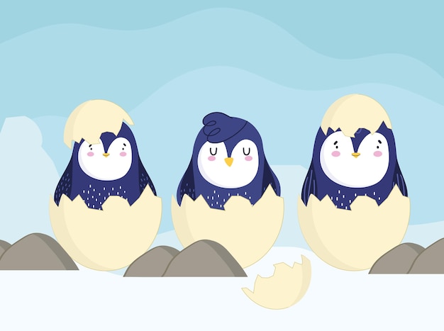 Vector penguins on eggs shell cartoon