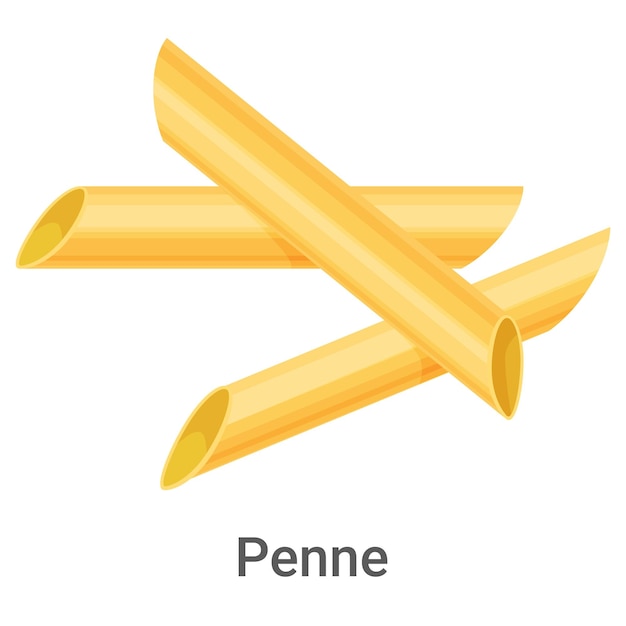 penne pasta pasta made of durum flour isolated on a white background vector image of dough products