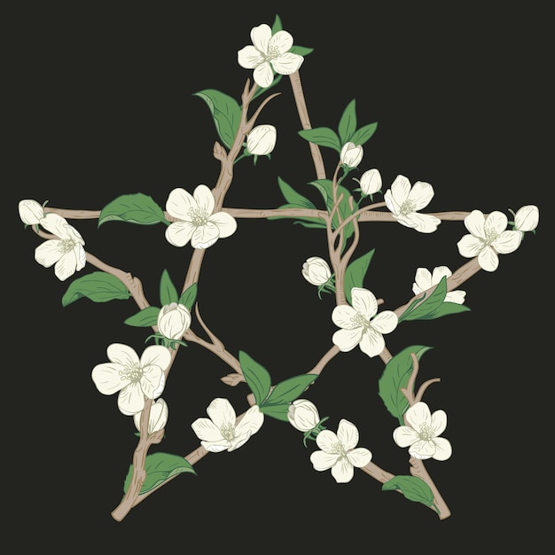 Pentagram sign made with branches from a blooming tree. Hand drawn botanical white blossom on black background. Vector illustration.