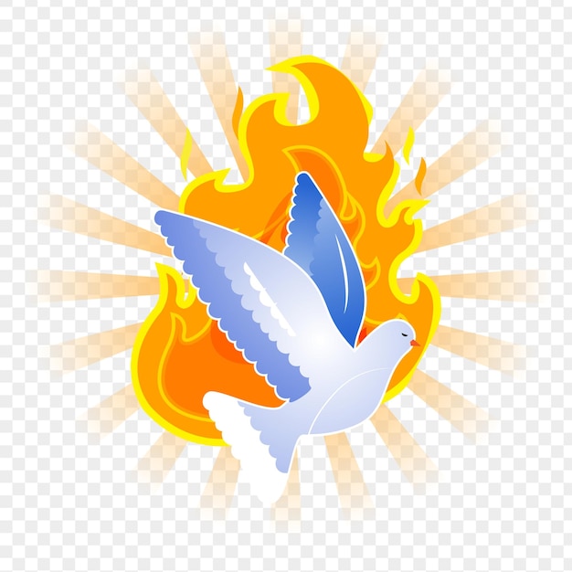 Vettore colomba di pentecoste con fiamme di fuoco illustrazione su sfondo trasparente
