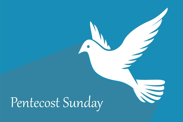 Pentecost Sunday background with flying dove