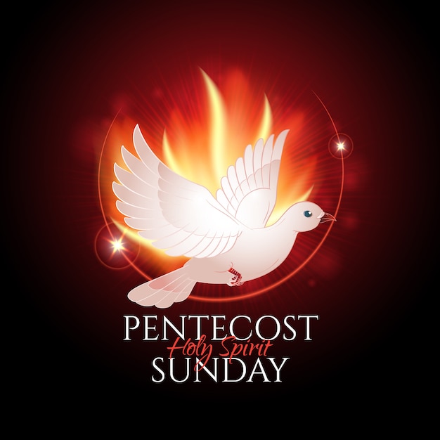 Pentecost Sunday with flame and holy spirit dove greeting. Catholics and Christians Religious culture holiday.