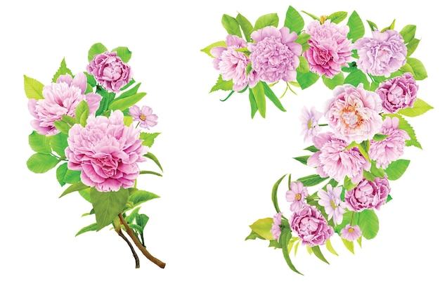 peonies floral wreath illustration design