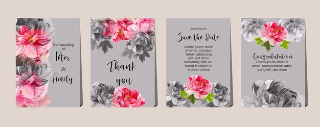 Vector peonies flowers on cards