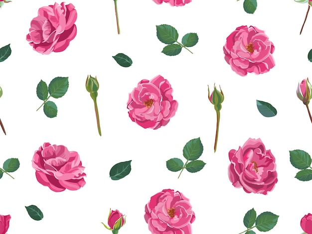 Peonies or roses flowers in blossom, decorative wallpaper or background with blooming flora. Plants with flourishing and stems, buds and leaves. Lush foliage florist composition. Vector in flat style