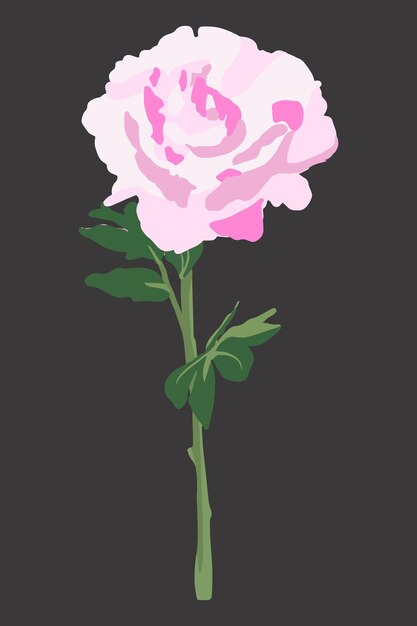 Peony art illustration hand drawn pink flower