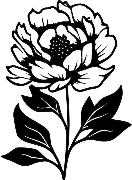 Peony Black and White Isolated Icon Vector illustration