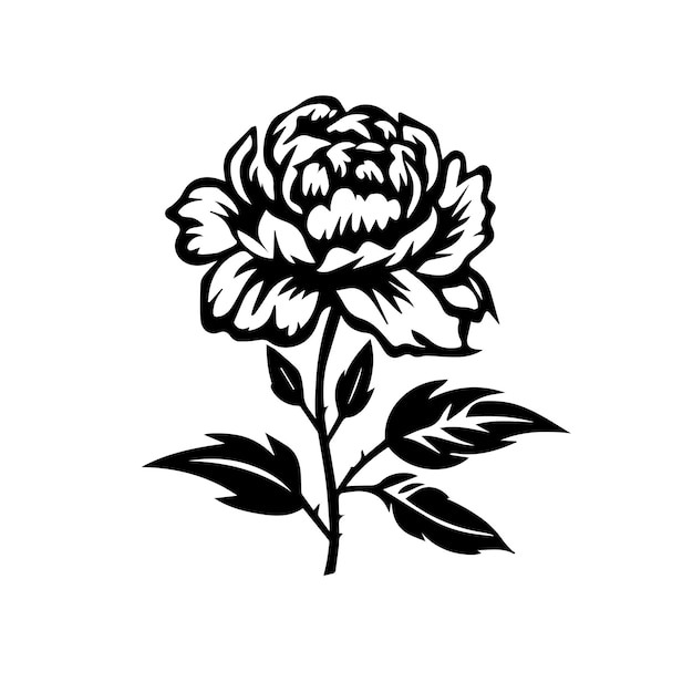 peony black and white vector template set for cutting and printing