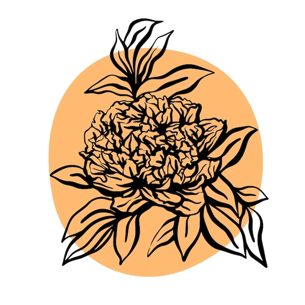Peony bloem hand getekende vectorillustratie. Minimalistische moderne illustratie. Ontwerp van wenskaarten, uitnodigingen, sociale netwerken