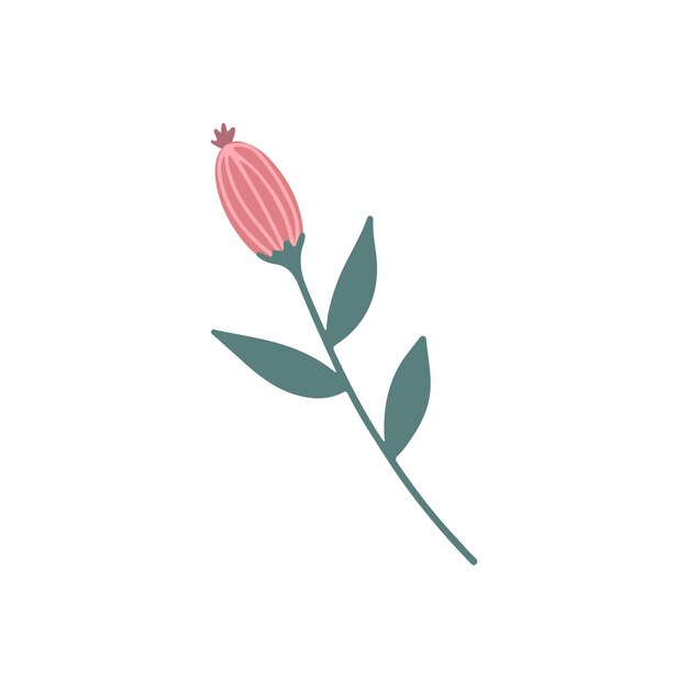 Vector peony bud flower hand drawn cute pink closed peony bud flower for wedding invitations greeting card