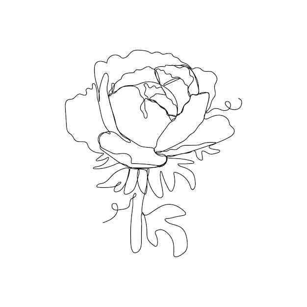 Peony Flower Continu One Line Tekening Handgetekend Minimalisme Stijl van Simple Flower Line Art