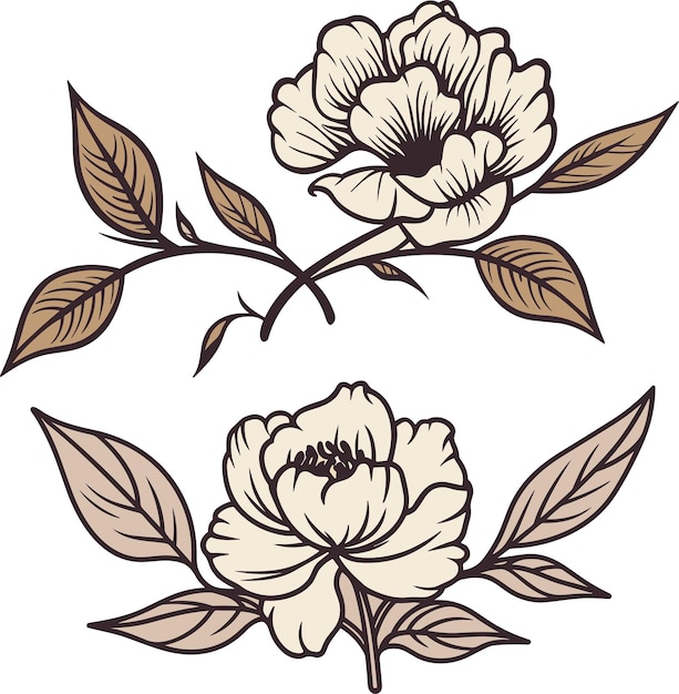 벡터 최소한의 식물학 그래픽 스케치 라인 아트 그림으로 페오니 꽃 트렌디한 작은 문신 디자인 꽃