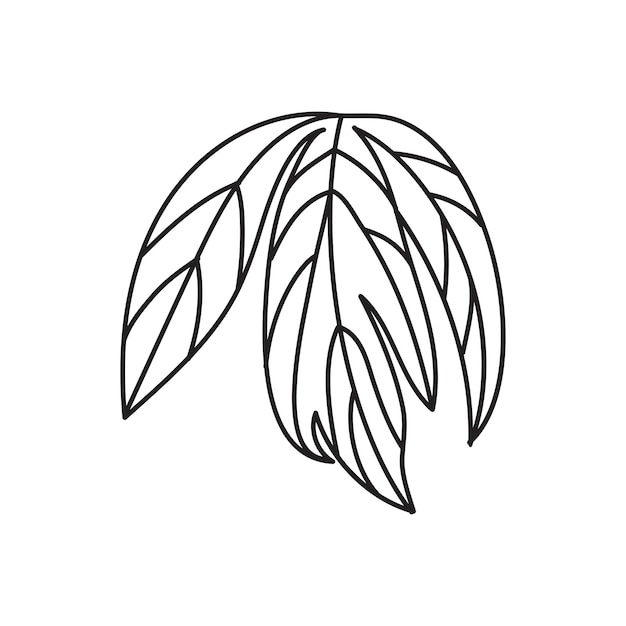 Peony flower white black line logo sketch tattoo wedding leaf leaves