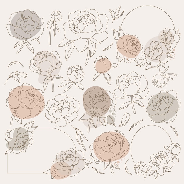 Vector peony flowers and leaves in line art style icons set contemporary floral design spring flowers blossom