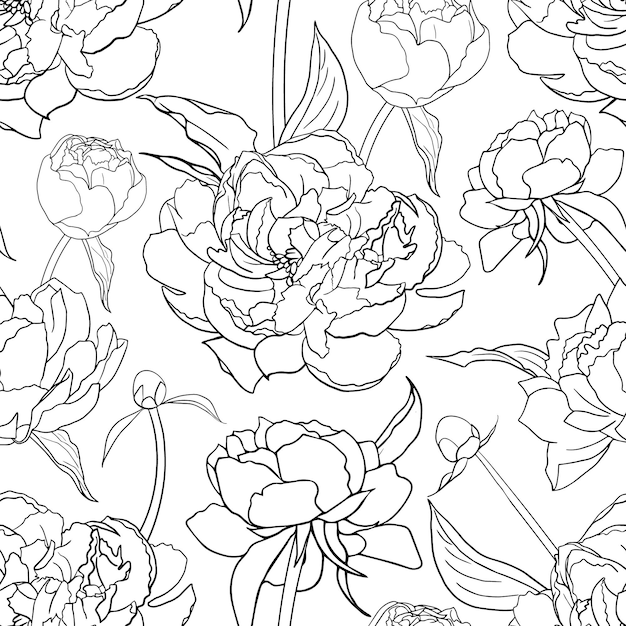 Peony flowers monochrome seamless pattern