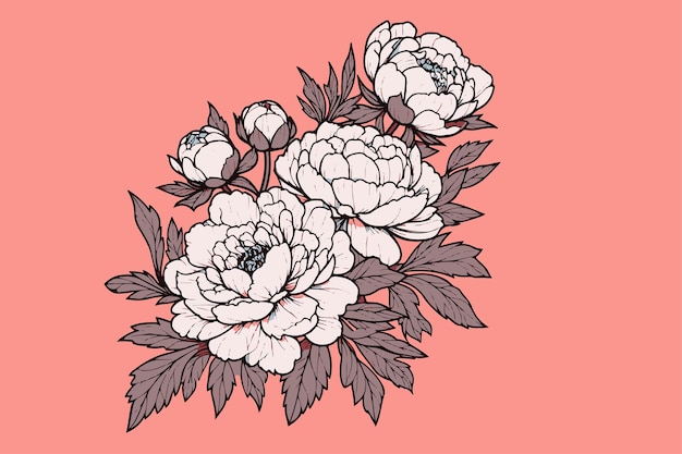 Vector peony flowers