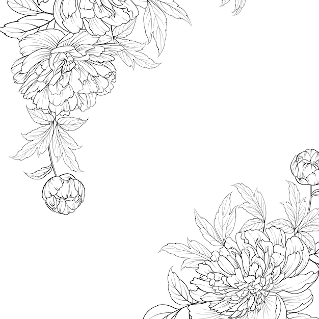 Peony grafische vector lijnschets.