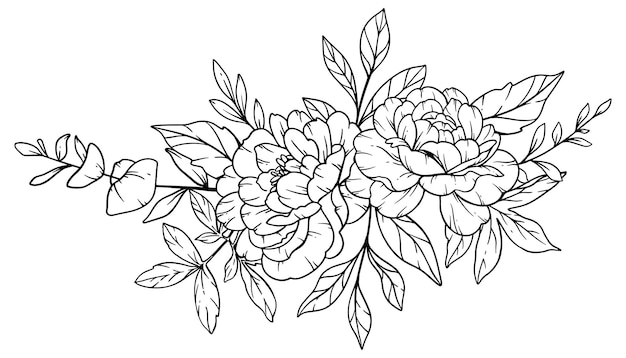 Peony Line Art Fine Line Peony Bouquets Hand Drawn Illustration Coloring Page with Peony Flowers