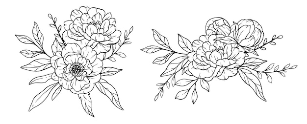 Peony Line Art Fine Line Peony Bouquets Hand Drawn Illustration Coloring Page with Peony Flowers