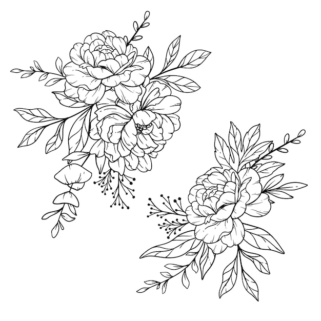 Peony Line Art Fine Line Peony Bouquets Hand Drawn Illustration Coloring Page with Peony Flowers